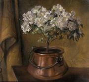 unknow artist Blumenstock in Kupferkessel oil painting reproduction